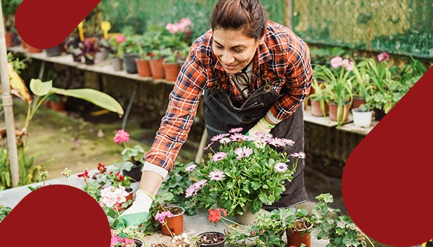 Como Montar Uma Floricultura Gastando Pouco